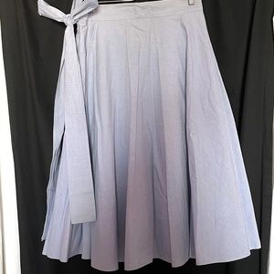 Baby Blue Poodle Skirt